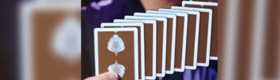 card_rotate_SOCIAL_STATIC